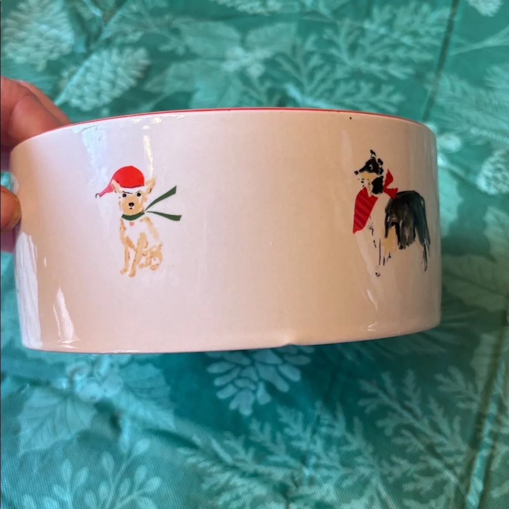 NEW Beth Briggs ceramic  dog bowl